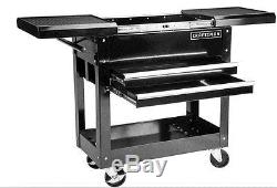 Cleaning And Organizing Personal Roll Cart Mechanics Tool Box Workshop All Steel